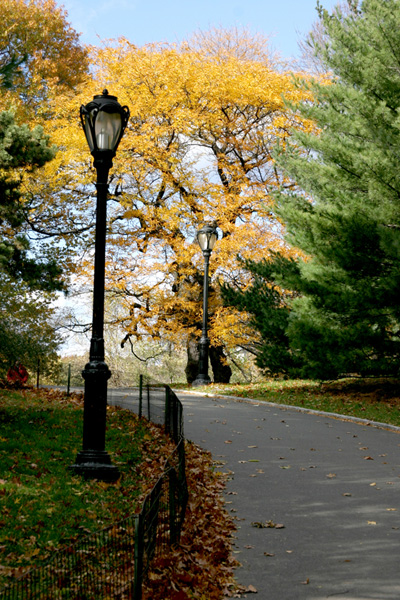 Photo Journal - Central Park - Daylight