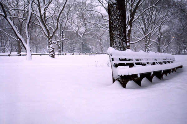 Photo Journal - Central Park - Outdoor Seating